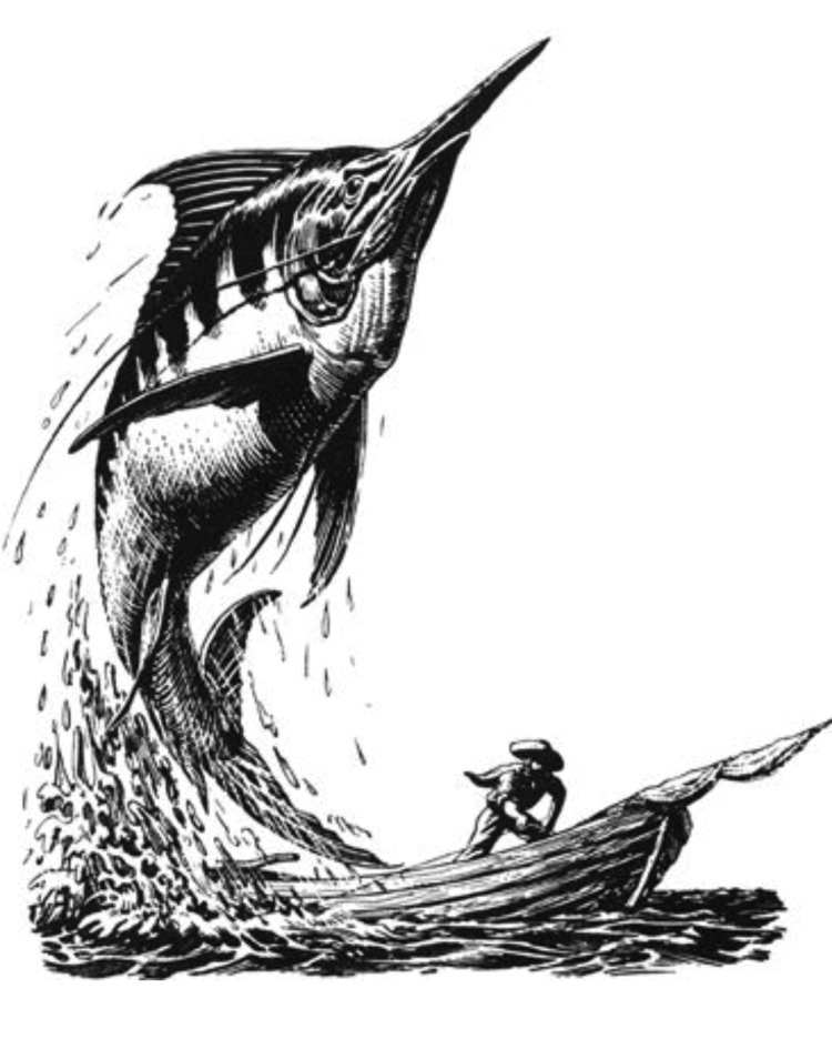 The Old Man and the Sea. Illustration by C.F. Tunnicliffe and Raymond Shepard.